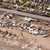 Brody tells magazine building in vulnerable areas continues