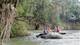 On a floating tour of the Peñas Blancas River, students saw alligators, toucans, large iguanas, howler monkeys, camouflaged bats and a few parrots.