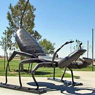 Alumnus’ arachnid sculptures unveiled at El Paso sports park