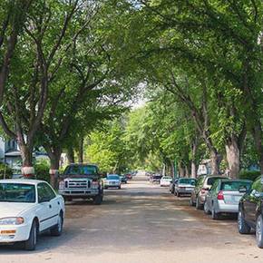 LAND prof’s study correlates amount of tree shade with heat-related ambulance calls