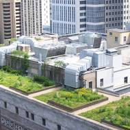 Interdisciplinary green roof effort to engage wide variety of students