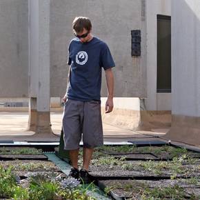 Interdisciplinary green roof growing atop Langford building