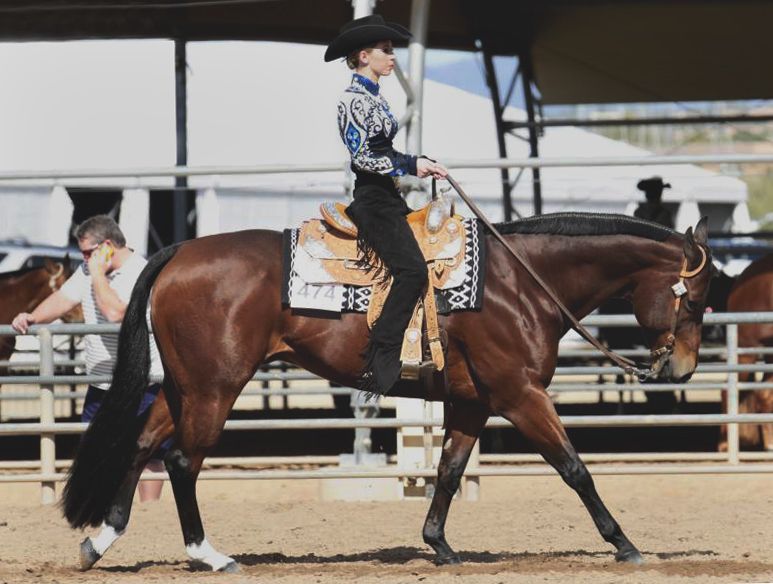 CoSci major to join Aggie equestrian team in fall 2014 - One|Arch